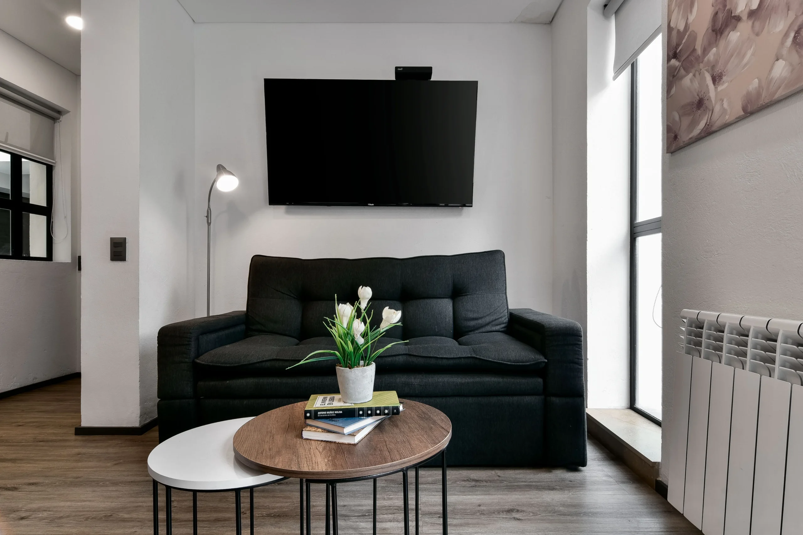 sofa-cama